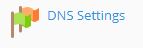 04 DNS .JPG