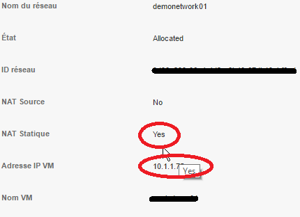 Snat ip details after.png