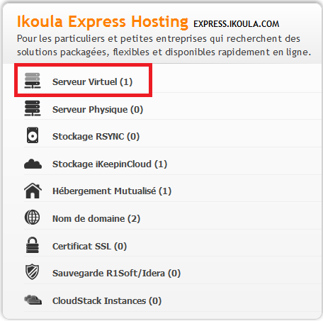 Accueil-serveur-virtuel.PNG
