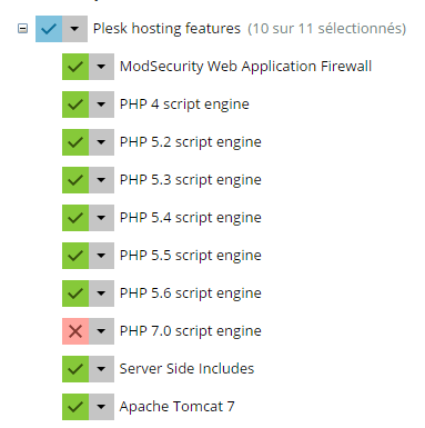 Php-plesk2.PNG