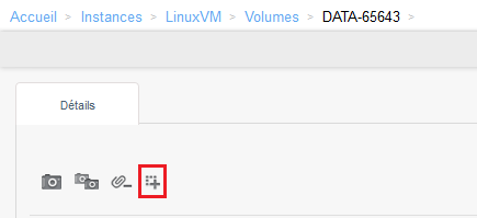 Resize DATADISK cloudikoula 4.png