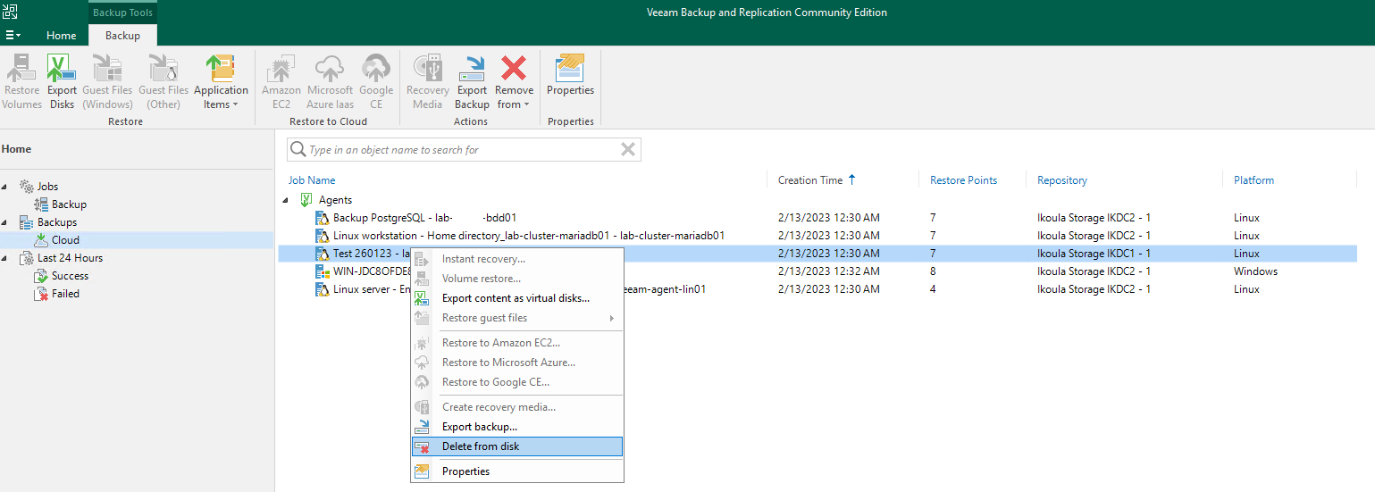 01 delete backup vbr.png