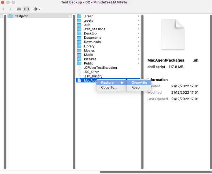 03 restore files mac vspc.png