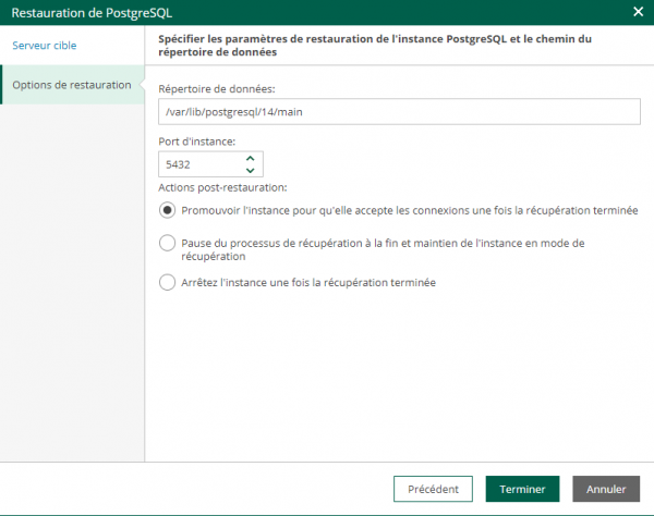 03 veeam vcd restore postgresql.png