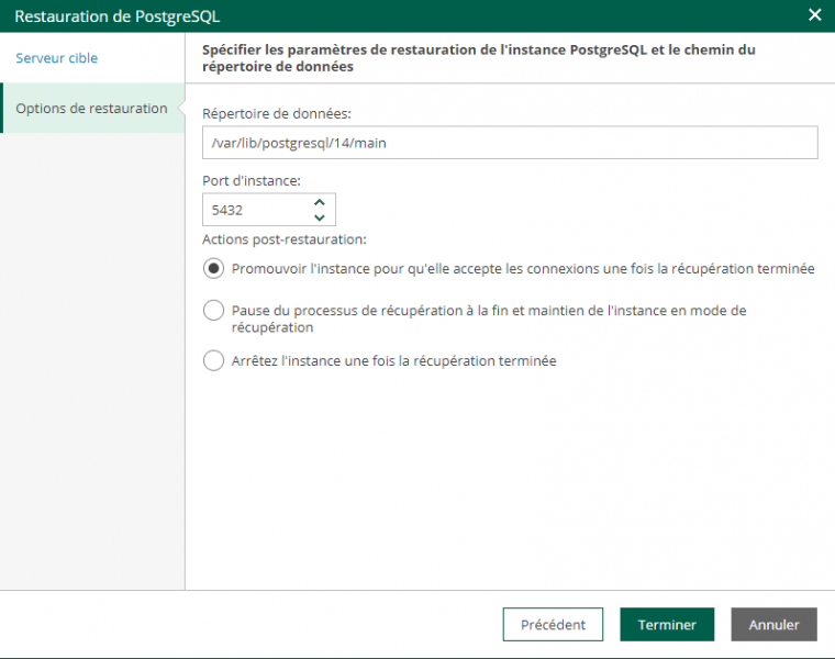 Fichier:03 veeam vcd restore postgresql.png