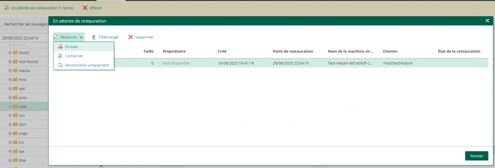 04 veeam vcd restore files.png