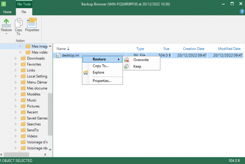 Fichier:06 restore files windows.png