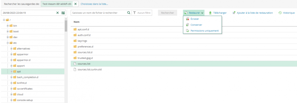 03 veeam vcd restore files.png