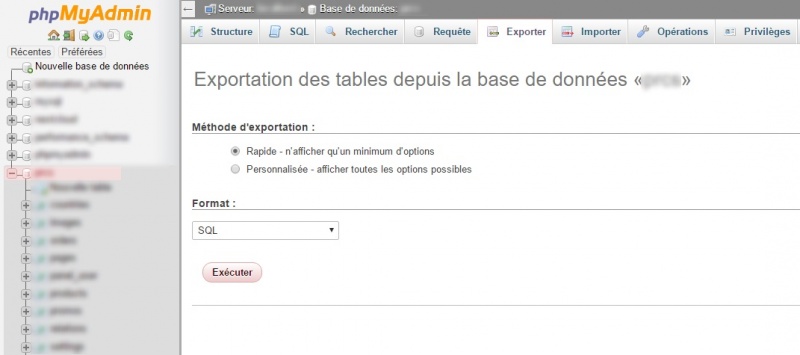 Fichier:Exportation bdd.jpg