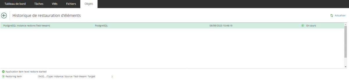 04 veeam vcd restore postgresql.png