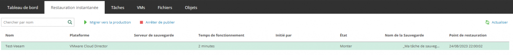 06 veeam vcd instant recovery.png