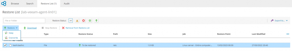 05 restore files vspc.png