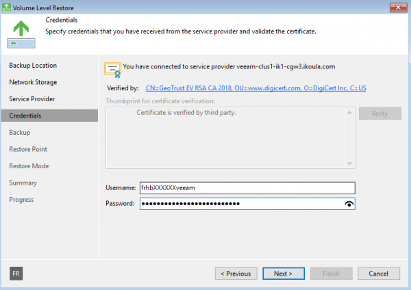 06 bmr windows vspc.png
